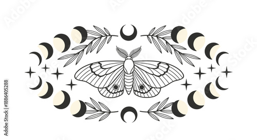 Symmetrical mystical design featuring a large moth surrounded by moon phases stars and leafy branches in a black and white line art style.