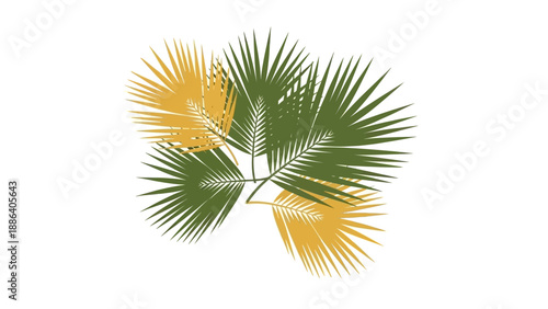 Palm Leaves with Yellow and Green Foliage.