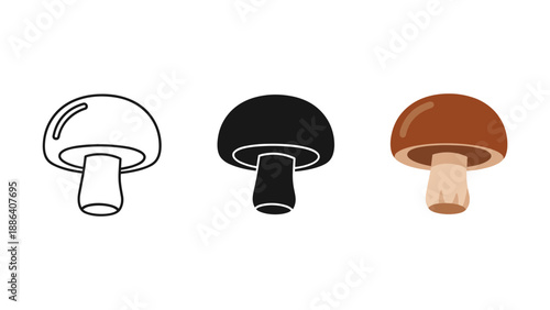 Three Types of Mushrooms Illustration