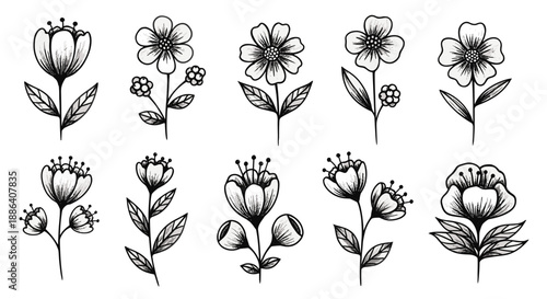 Set of ten black and white hand drawn floral sketches featuring different flower types and leaves for coloring.