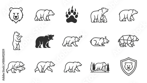 Collection of stylized bear icons and illustrations in various poses.