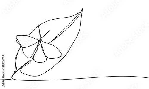 Continuous Line Drawing of a Butterfly on a Leaf