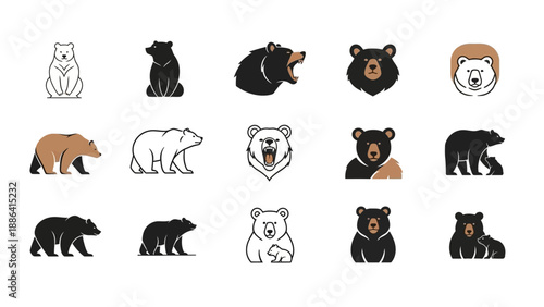Collection of Bear Illustrations and Icons Various Styles.