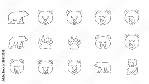 Collection of stylized bear icons and illustrations.