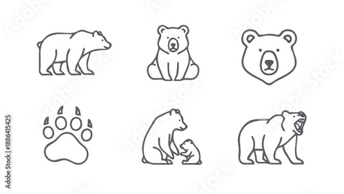 Set of stylized bear icons and paw print.