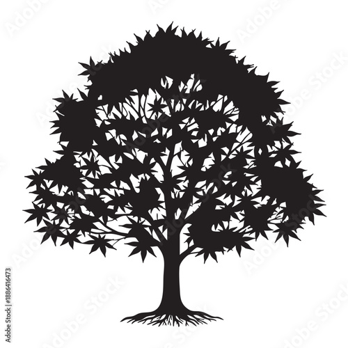 Silhouette of a maple tree a broadleaf deciduous tree with a wide canopy and visible root system representing natural beauty and strong foundations