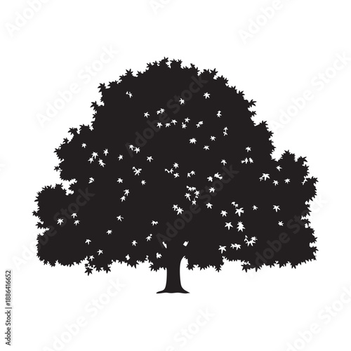 silhouette of a tree