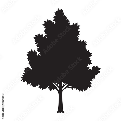 vector tree silhouette