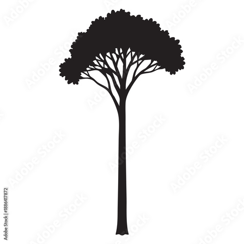 Silhouette of a tall pine tree a simple vector illustration for nature and environmental concepts isolated on a white background