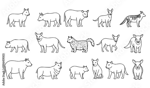 Wildlife and pet animal silhouette symbol collection