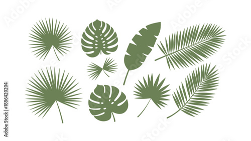 Collection of various tropical leaves illustration.