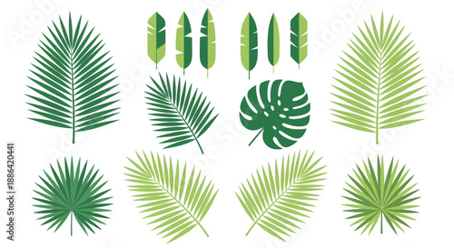 Collection of Various Green Tropical Leaves.