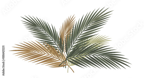 Palm Leaves with Green and Brown Fronds.