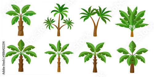 Collection of vibrant cartoon style tropical palm trees and lush green foliage