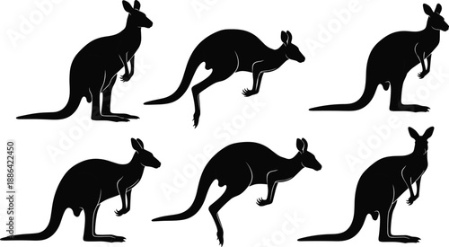 Vector Silhouette Set of Kangaroos in Various Poses Including Jumping Standing and Leaping Isolated on White Background for Australian Wildlife and Nature Design