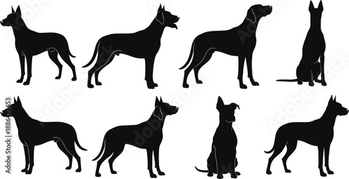Vector Silhouette Set of Large Dogs in Various Poses Including Standing Sitting and Alert for Pet Care Veterinary and Guard Dog Designs