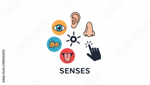 Five Human Senses Iconography with Sun and Hand.