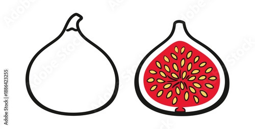 Hand drawn line art fig set featuring a whole and sliced fig for food related designs