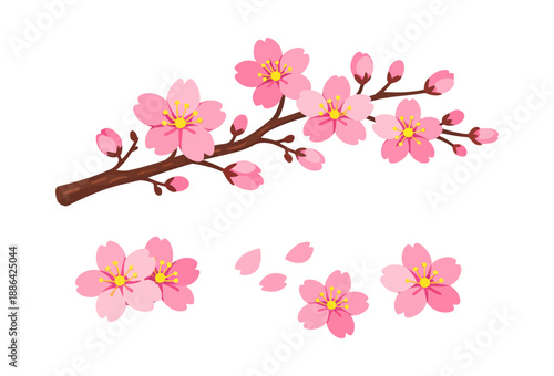 Flat design cherry blossom set featuring a blooming branch, individual flowers and falling petals for spring themes