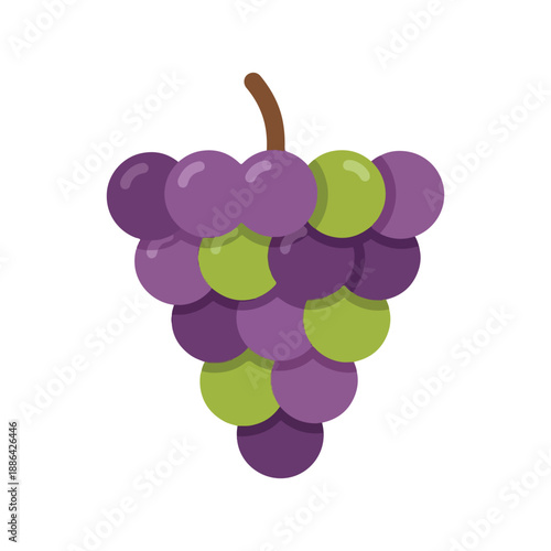 Simple Flat Design Vector Illustration of a Mixed Color Grape Bunch