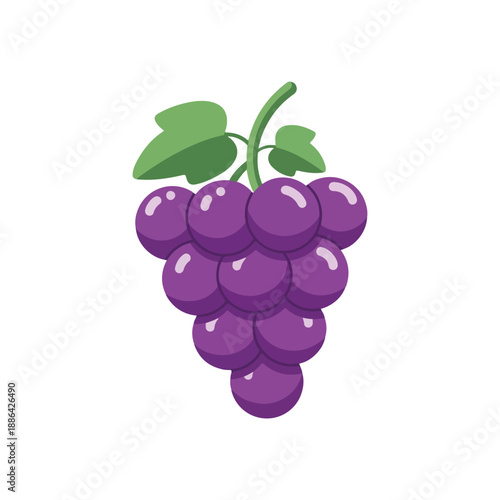 Purple Grape Cluster Flat Style Vector Illustration