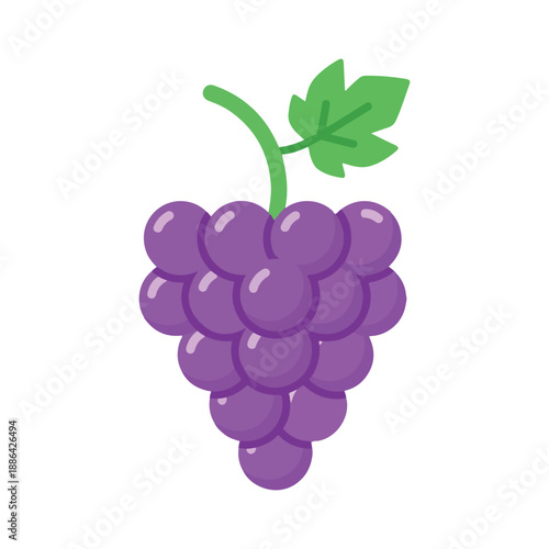 Purple Grapes Bunch Vector Illustration Simple Flat Style Design