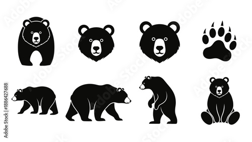 Collection of stylized bear illustrations and paw print.