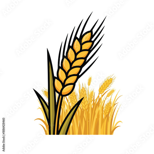 Golden Wheat Ears Illustration.