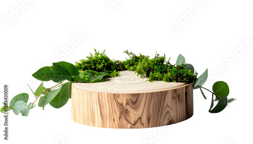 Wooden pedestal with lush green moss and foliage, isolated on a black background