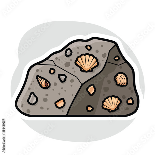 Gray Rock with Embedded Seashells Illustration.
