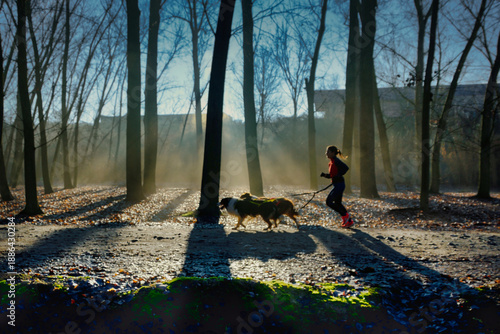 Canvas Print Woman running with dogs along a forest path during early morning light