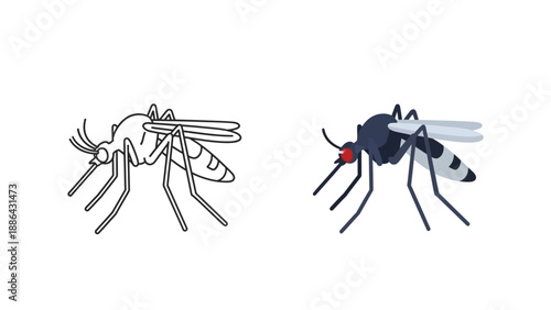 Vector illustration set featuring a detailed black outline drawing and a colored graphic depiction of a dangerous mosquito insect pest science concept
