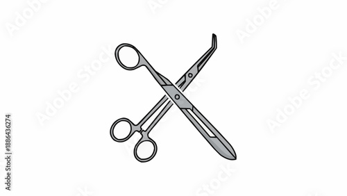 Two surgical scissors crossed on a white background.