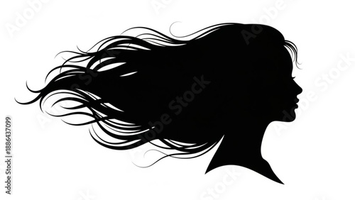 Silhouette of a womans profile with long flowing hair blowing in the wind graphic illustration for beauty and fashion concepts isolated on white