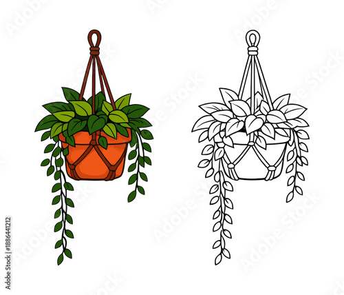 Hand drawn houseplant illustration set featuring a hanging plant in both color and line art for home decor and botanical themes