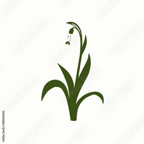 Delicate Snowdrop Illustration Featuring a Single White Bloom with Graceful Green Leaves Nestled on a Tall Stem Against a Crisp White Background