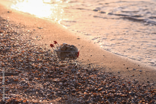 Obraz na plátně toy shopping basket holds assortment of seashells gathered from shore