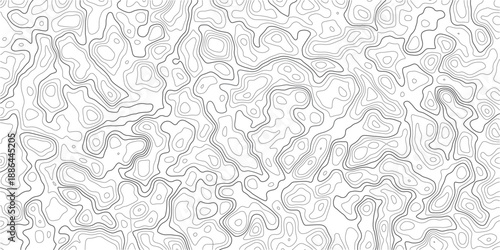 Seamless Topographic Contour Map Lines Abstract
