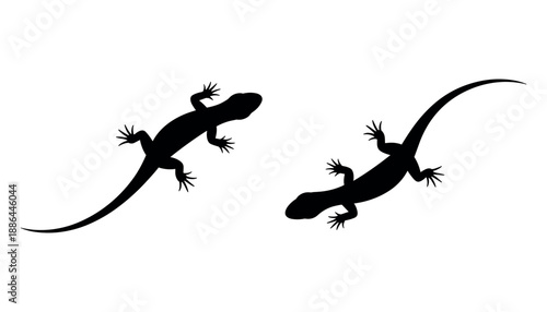 Black silhouette of two lizards on white background silhouettes reptiles
