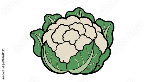 Cartoon cauliflower with green leaves vegetable white background