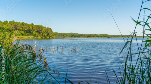 Cousseau Pond National Nature Reserve