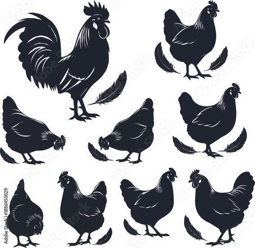 Create a Various Backyard chicken silhouette set, rooster and hen icons, feather accents, poultry show event, homestead class session on white background for logo design