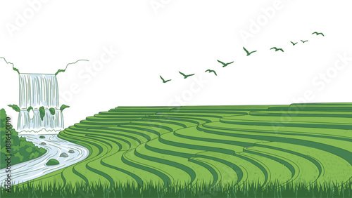 Illustration of a serene green tea field with a winding path and a building in the background under a clear sky with flying birds.