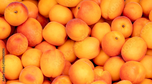 Tableau sur toile Lots of peaches