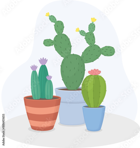Still life illustration of three cacti with blossoms. Botanical composition with houseplants in pots
