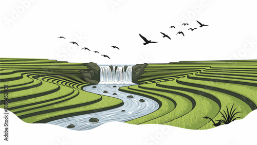 Illustration of a serene landscape with a river flowing through green terraced fields and a flock of birds flying overhead against a white background.