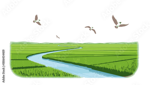Illustration of a serene landscape with a winding river through green fields and flying birds against a white background.