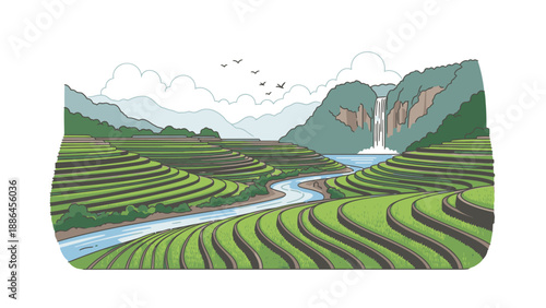 Illustration of a serene landscape with terraced rice fields, a winding river, and a waterfall cascading into mountains under a cloudy sky with birds flying overhead.
