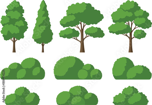 A diverse collection of illustrated trees and shrubs, isolated vector elements for nature and landscape design