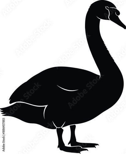 Elegant upright swan silhouette with curved neck, minimalist wing details, graceful posture, black contour, serene stance, stylized avian form